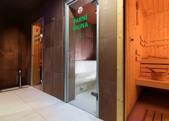 Hotel Peras Wellness Hotel Ludvikov